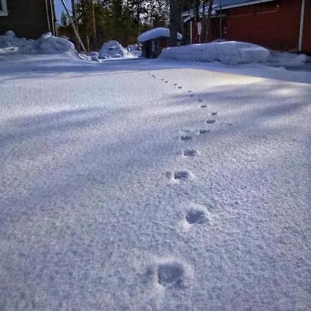 Holiday park Kiiloselan Poropirtti Kakslauttanen